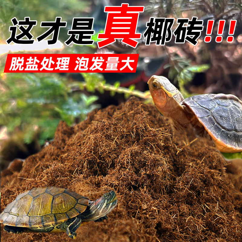 爬虫椰砖脱盐处理泡发量大乌龟陆龟专用椰土垫材爬宠用品