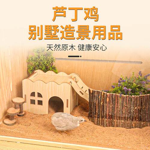 芦丁鸡躲避窝全套饲养箱装饰小木屋卢丁鸡的房子造景用品楼梯平台