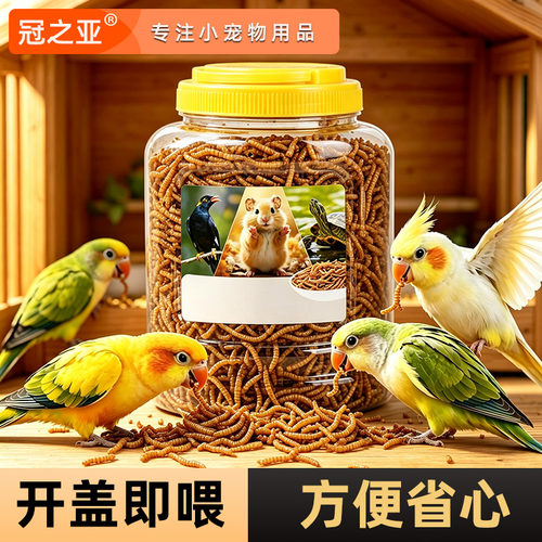 冠之亚鹦鹉专用面包虫干零食