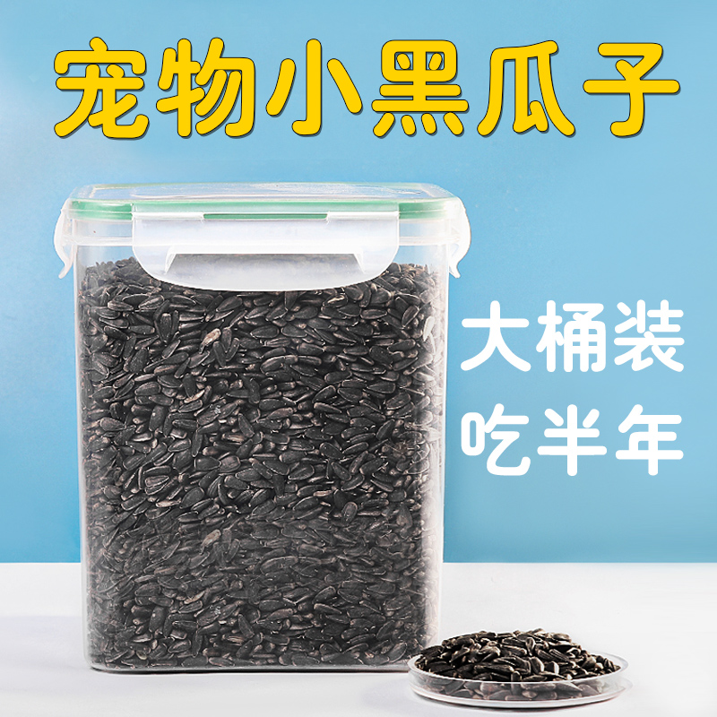 油葵黑珍珠小瓜子种小太阳和尚鹦鹉鸟粮食籽葵花玄凤仓鼠专用饲料