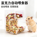 仓鼠自动喂食器亚克力防翻透明防漏金丝熊专用鼠类喂食器用品大全
