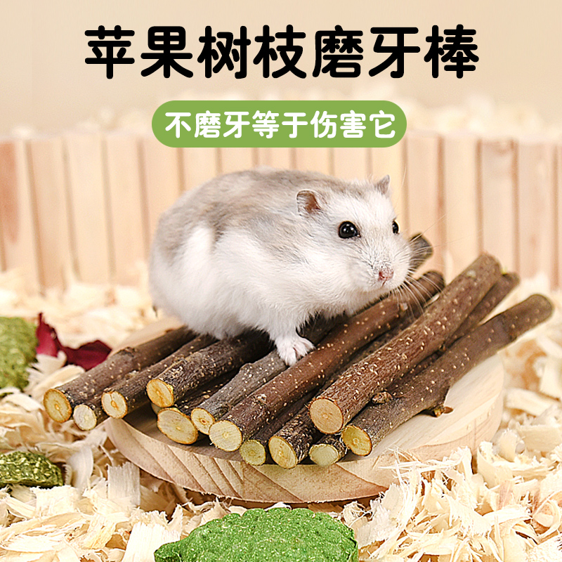 冠之亚苹果树枝磨牙棒仓鼠小宠磨牙龙猫兔子洁齿零食造景磨牙用品