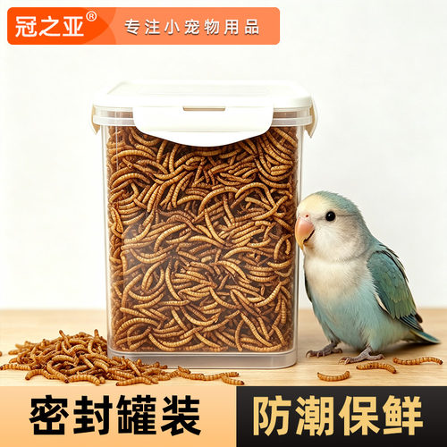 冠之亚鹦鹉八哥面包虫干零食