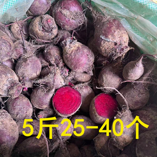 小个红菜头紫菜头农家蔬菜自种现挖甜菜头 新鲜迷你甜菜根5斤装