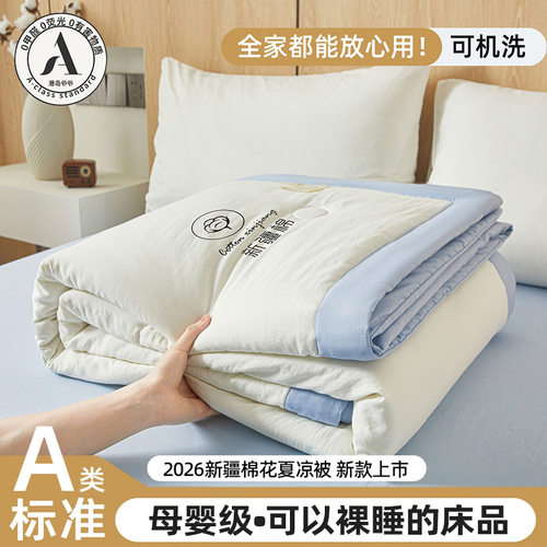 A类母婴级夏凉被新疆棉花夏被空调被芯夏季儿童薄被子单人可机洗a