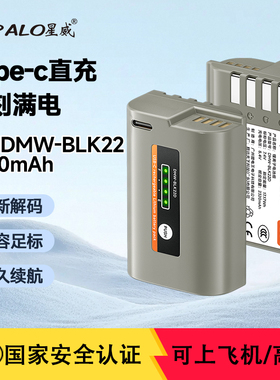 DMW-BLK22相机电池适用松下GH4 GH5 BLF19 gh5m2 s5mark2单反GH6