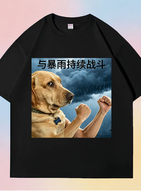 与暴雨持续战斗纯棉短袖台风t恤