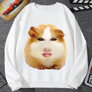 猪妞表情包卫衣男外套女可爱豚鼠仙女下凡荷兰猪的小曲猎奇学生装