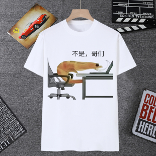恶搞不是哥们虾表情包短袖男t恤搞笑沙雕抽象都是哥们学生衣服潮