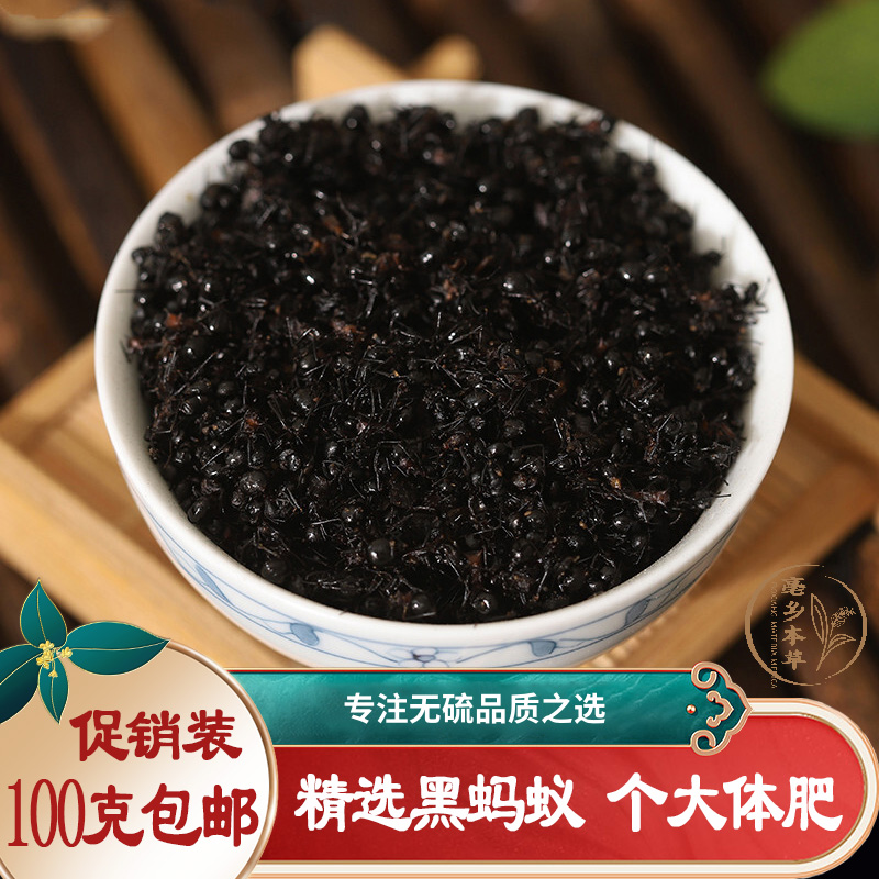 广西黑蚂蚁横县500g拟黑多刺蚁非长白山中药材干晒养身泡酒料磨粉