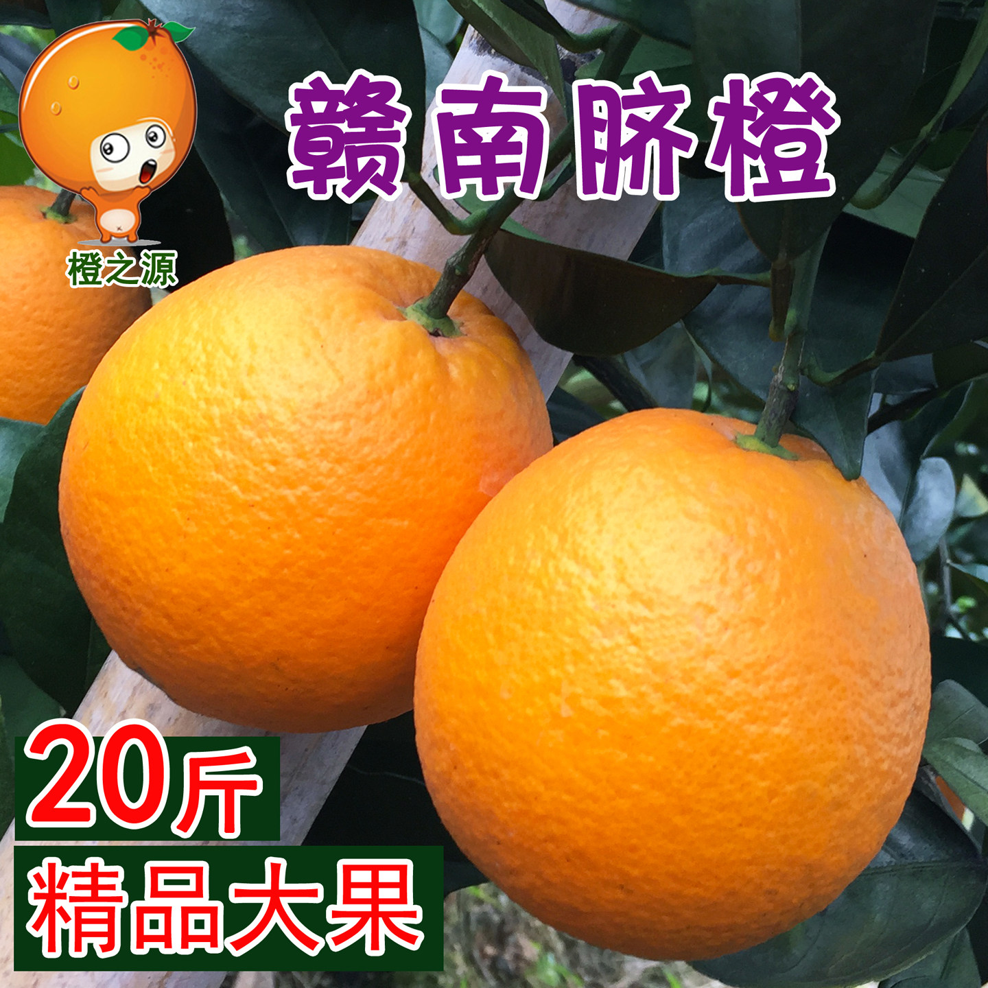 赣南脐橙20斤大果很好吃的甜橙子