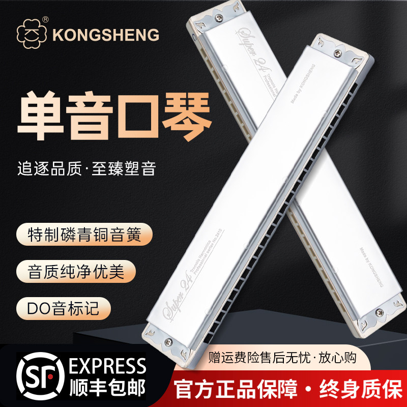孔声单音口琴成人24孔口琴专业演奏级正品口吹琴进口音簧12调可选