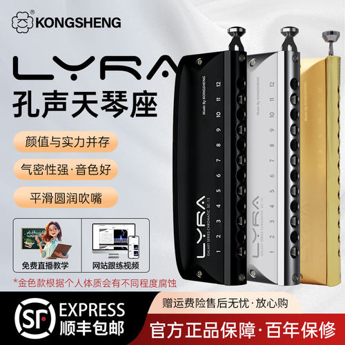 孔声半音阶口琴天琴座系列