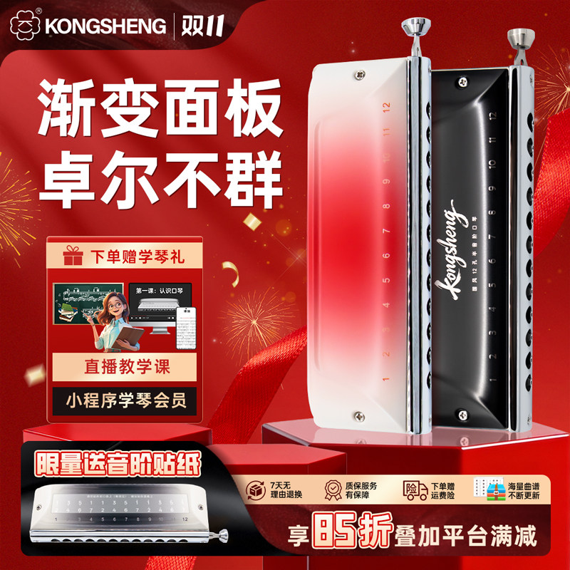 【官方正品】孔声国风盖板12孔半音阶口琴成人新手初学进阶专业琴