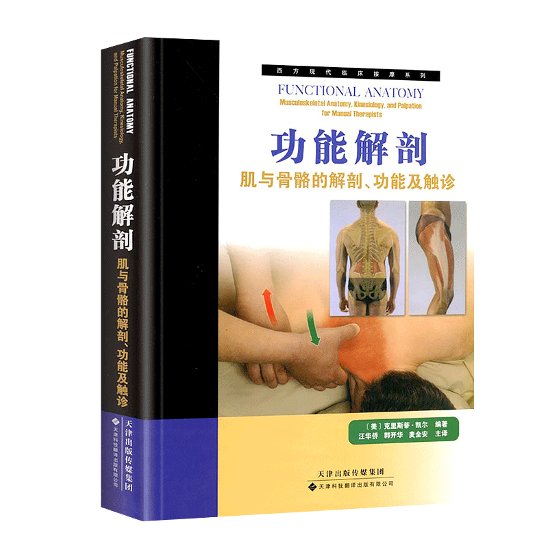 【出版社直发】 功能解剖:肌与骨骼的解剖,功能及触诊 人体结构解读 人体组织类型 运动解剖学书籍