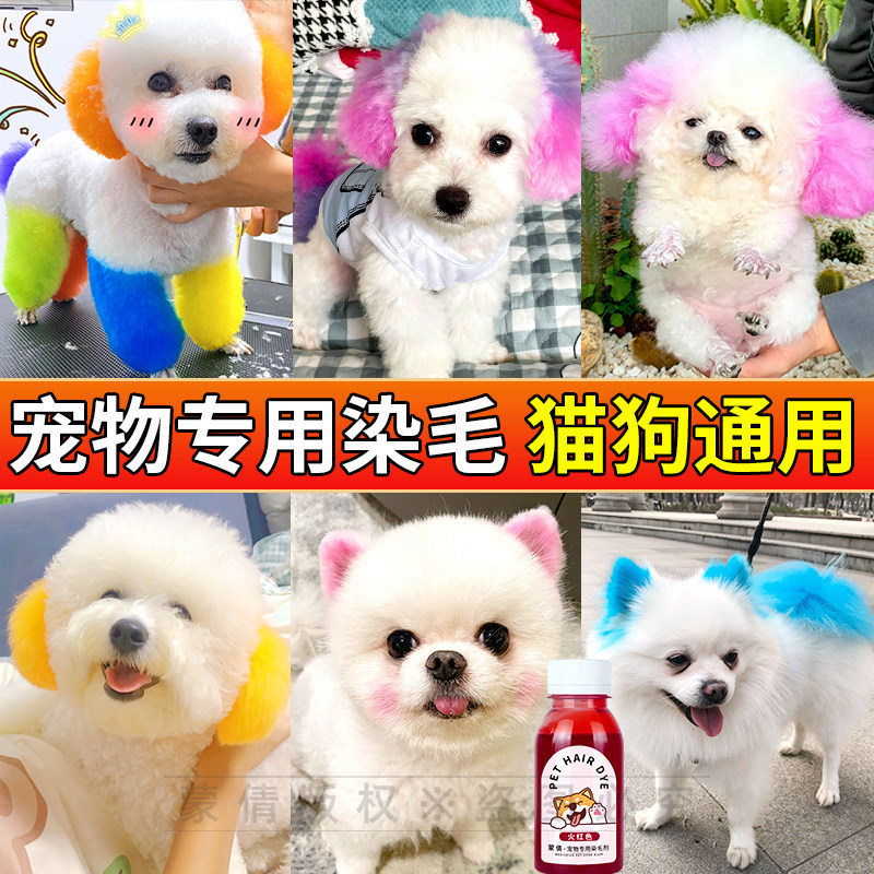 蒙倩狗狗专用染发膏宠物美发膏樱花粉红橙色泰迪狗博美犬染毛膏剂