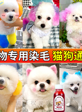 蒙倩狗狗专用染发膏宠物美发膏樱花粉红橙色泰迪狗博美犬染毛膏剂