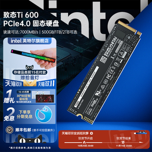 4TB M2笔记本电脑SSD固态硬盘长江存储500g 致态Ti600