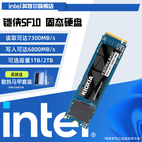 Kioxia铠侠SF10 系列1TB SSD固态硬盘M.2接口台式电脑笔记本硬盘