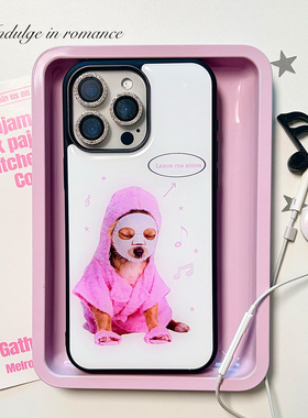 可爱不要打扰我趣味吉娃娃ins韩简约滴胶复古iphone1716promax亚克力壳苹果1614pro手机壳