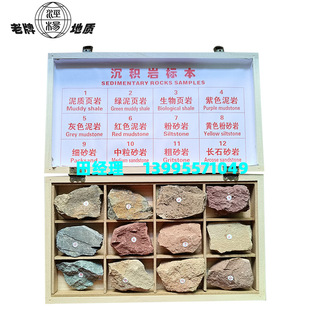 收藏级72种沉积岩标本三大类岩石标本6x9cm
