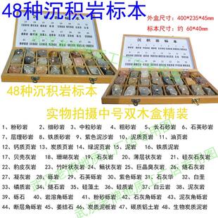 48种沉积岩标本双目盒沉积岩变质岩中小学教学教仪标本科普收藏