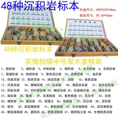 48种沉积岩标本双目盒沉积岩变质岩中小学教学教仪标本科普收藏