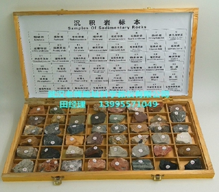 单木盒精装48种沉积岩标本