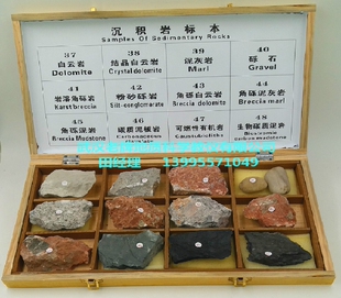 48种沉积岩标本四木盒装超大块中小学教学教仪标本,收藏