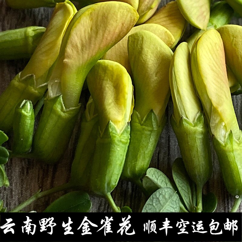 金雀花 鹅嘴花 阳雀花 现摘野生云南食用鲜花   黄雀花 锦鸡儿花
