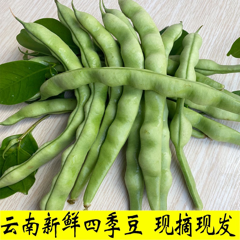 四季豆 云南四季豆角 芸豆 长扁豆角 新鲜蔬菜农家自种青扁豆豆米 水产肉类/新鲜蔬果/熟食 新鲜豆类 原图主图