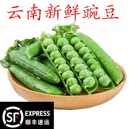 云南高原豌豆新鲜农家蔬菜