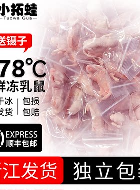小拓蛙冰冻乳鼠爬宠喂蛇小白鼠