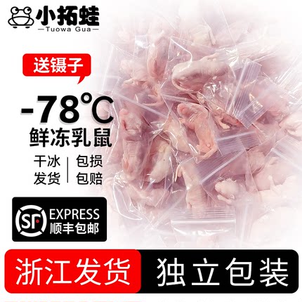 顺丰冰冻乳鼠爬宠食物小白鼠猪鼻蛇冷冻鼠无菌红皮乳鼠喂蛇老鼠