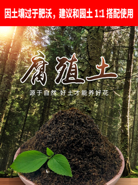 腐熟松针腐殖土天然有机营养土养花种菜土壤通用型黑土透气腐叶土图片