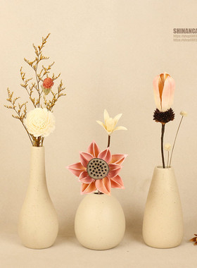 小众摆件客厅家居饰品家庭展示柜玄关电视柜衣柜书柜花瓶摆设软装