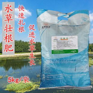 龙虾塘水草肥料生根长叶固体肥持久长效壮根肥伊乐藻扎根 草根状