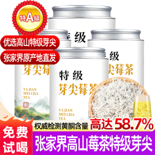 张家界特级芽尖莓茶湘西高山土家长寿村永顺野生龙须藤富硒霉茶叶