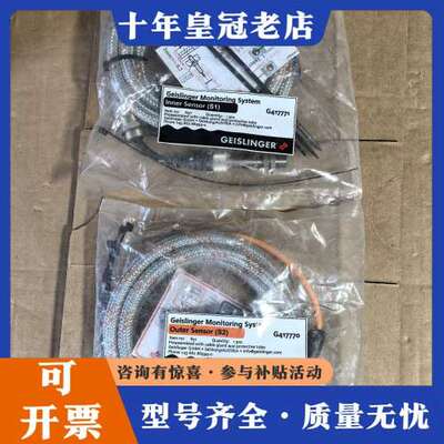 议价Geislinger盖斯林格扭振监测传感器，GMS MA可维修