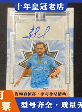 议价2024-25 Panini Impeccable Bern议价