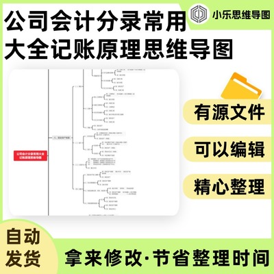 公司会计分录常用大全记账原理思维导图Xmind笔记制作电子版