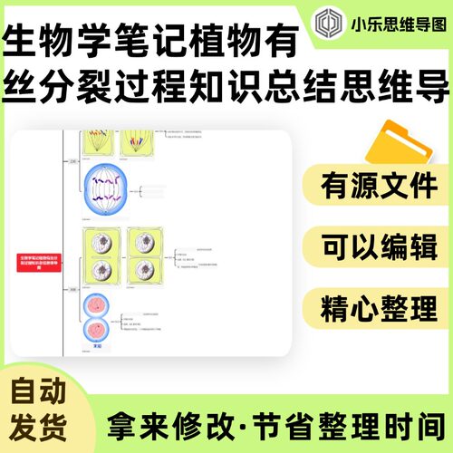 生物学笔记植物有丝分裂过程知识总结思维导图Xmind笔记制作电子