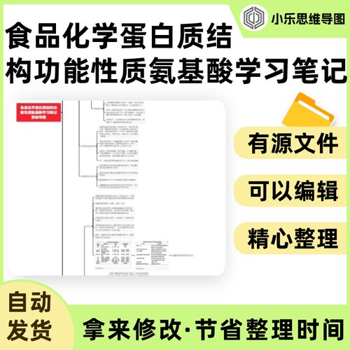 食品化学蛋白质结构功能性质氨基酸学习笔记思维导图Xmind笔记制