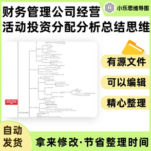 财务管理公司经营活动投资分配分析总结思维导图Xmind笔记制作电