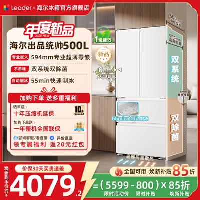 统帅500L法式双系统超薄零嵌入