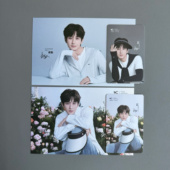 官卡花海现货高颜值明星周边明信片 成毅小卡正版 官方正品