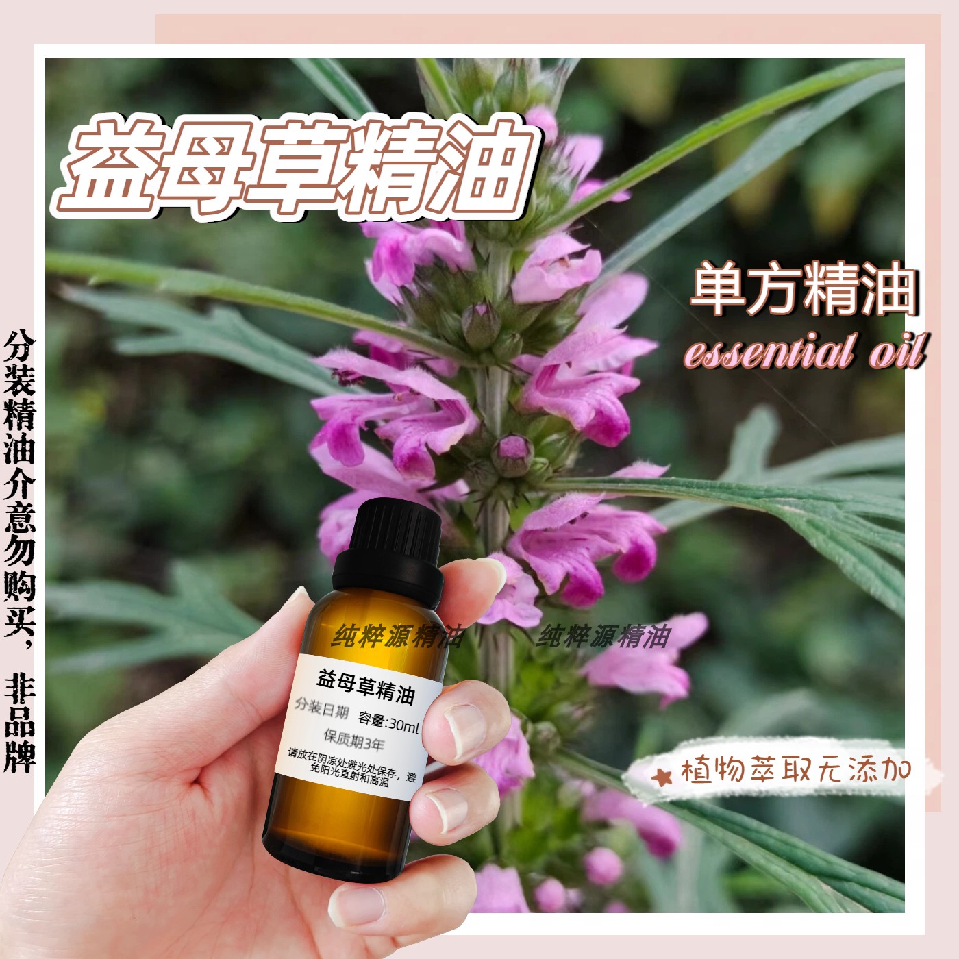益母草精油天然植物精油