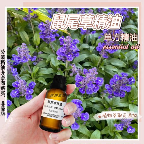纯鼠尾草精油植物单方精油