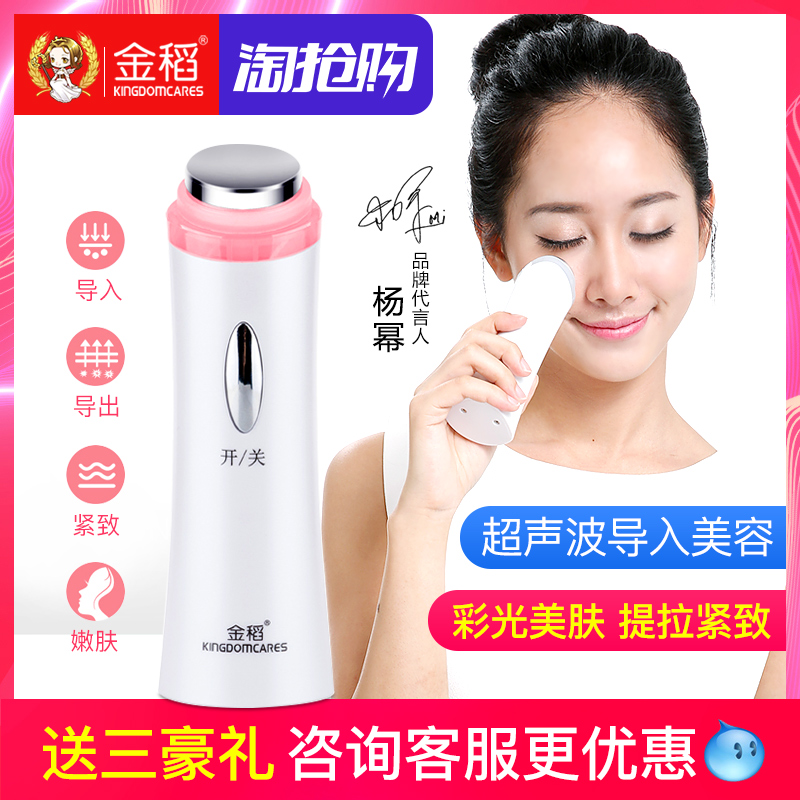 金稻超聲波導入儀面部排毒儀器電子美容儀家用導入導出臉部按摩器