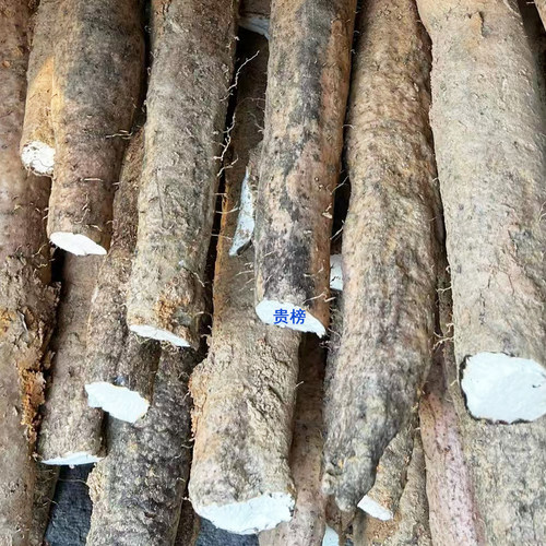 正宗曹江深署 切断真空包装 农家山药淮山炖汤煮糖水产地直发包邮